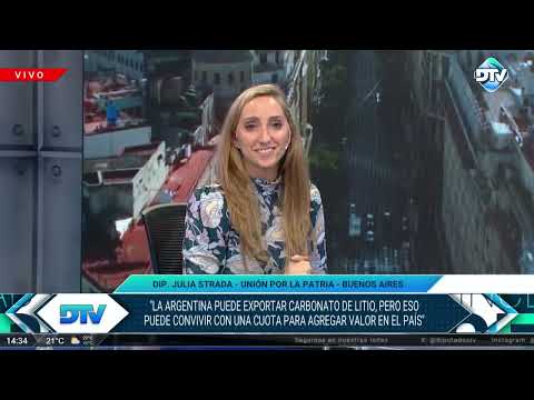 Julia Strada: Estrategias para la Industrialización del Litio en Argentina y su Impacto Económico