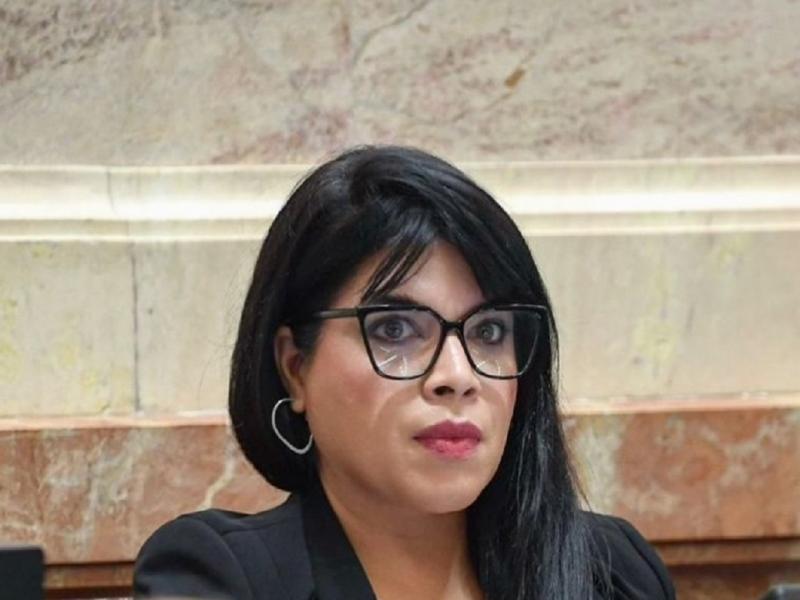 María Eugenia Duré entre quienes más iniciativas presentaron en el Senado de la Nación