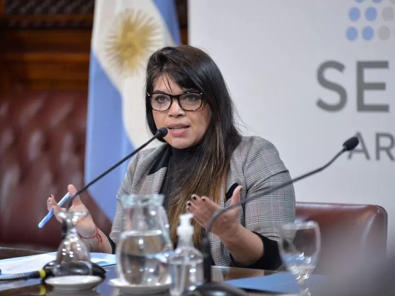 Duré asumió la Banca de la Mujer y defendió la industria fueguina.
