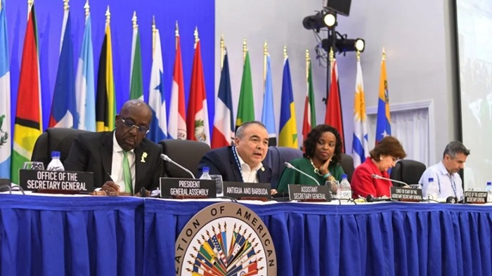 Las Malvinas son una causa de interés hemisférico, sentenció la OEA