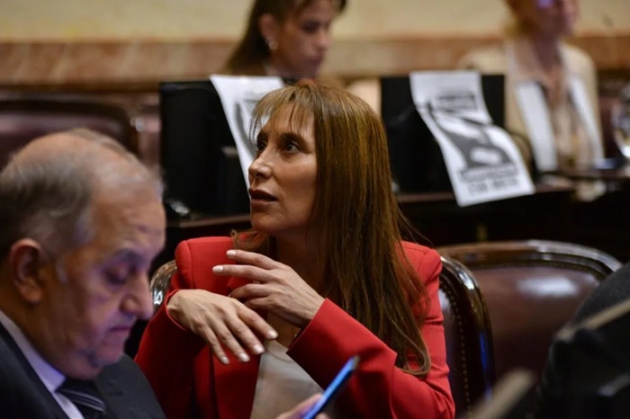«Si Milei veta estas leyes, está vetando el derecho a vivir con dignidad», afirmó López.