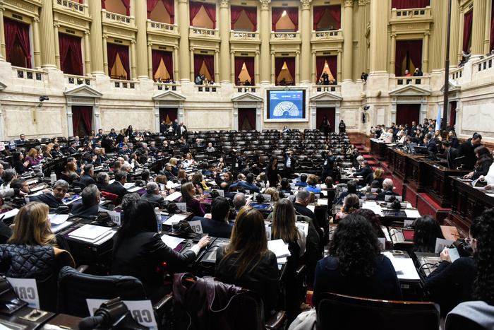 La oposición va por el rechazo a los vetos de Milei