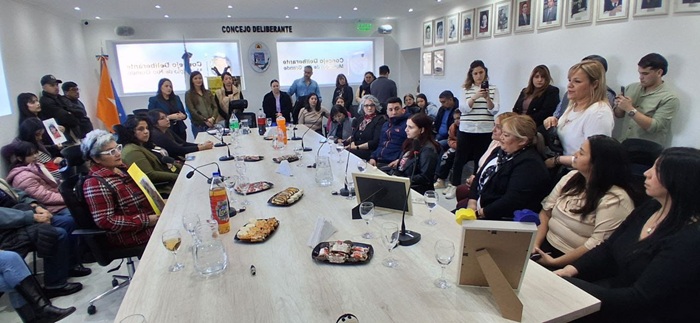 Red de Mamás TDF recibe reconocimiento del Concejo por su lucha clave por la Ley de Oncopediatría