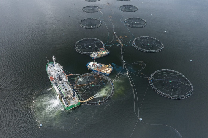 Salmonicultura: cocina fueguina para valorar el mar