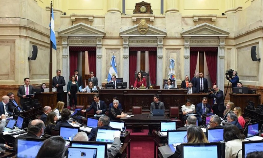 «El Senado abre la caja negra: Presupuesto, perdones fiscales y un país que vuelve a discutirse a sí mismo»