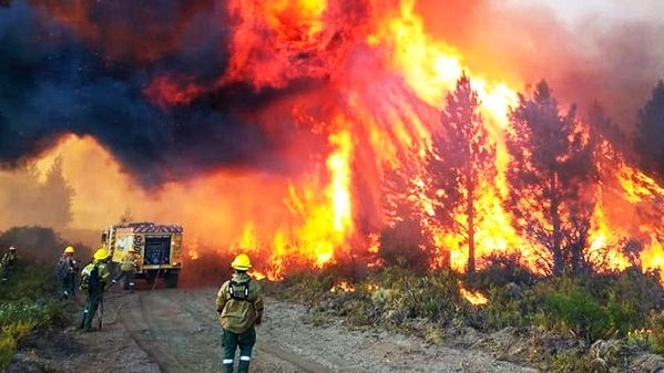 Incendios en la Patagonia: se reactivaron tres focos en el Parque Nacional los Alerces