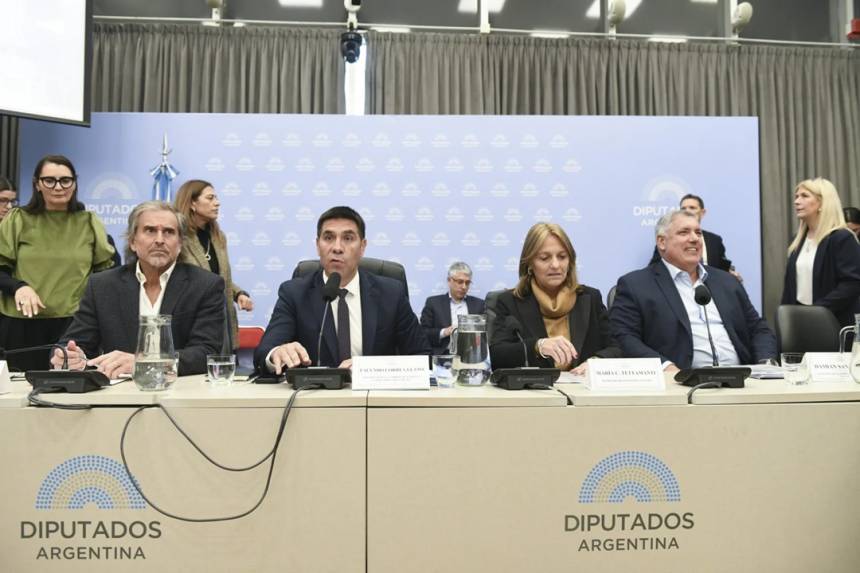 Urgente: Los libertarios obtuvieron dictamen de mayoría en Diputados para eliminar la extensión de zona fría que afecta a 3,7 millones de hogares.