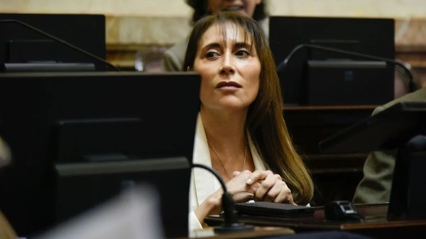 Venta de tierras estratégicas: López acusa a senadores libertarios de “entregar la provincia”