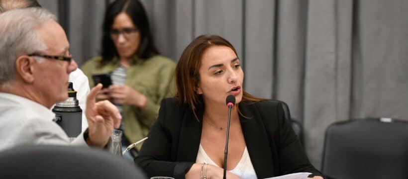 Despidos en Mirgor: Freites advierte que la crisis industrial se profundizará