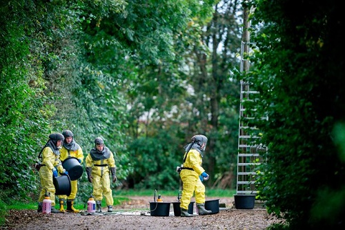 Los visones de 207 de las casi 1200 granjas peleteras de Dinamarca están infectados con coronavirus. Los trabajadores del gobierno han sacrificado a más de un millón de visones.