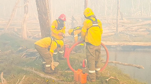 Las tareas realizadas en el lugar se vieron afectadas por la intensidad de los vientos, el material medio y grueso disponible para arder a medida que el fuego avanzó, afectando media hectárea de bosque nativo.