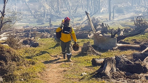 La denuncia fue recibida por Defensa Civil Tolhuin, en momentos en que la Cuadrilla Zona Centro de la Unidad Provincial de Manejo del Fuego se encontraba verificando otras denuncias por la existencia de fogones encendidos a lo largo de la Ruta Complementa