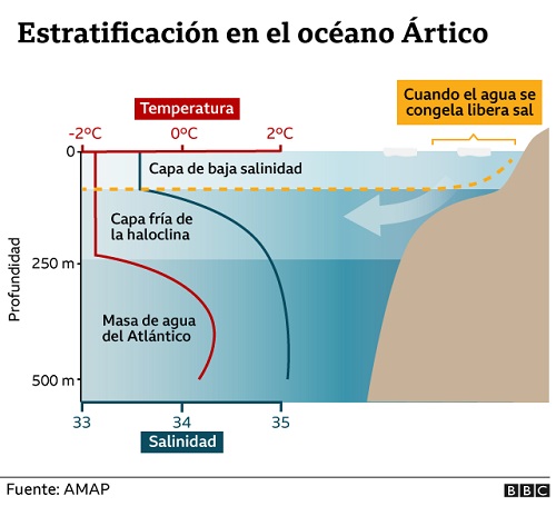 La capa con menor salinidad en el océano Ártico es la parte superior, donde se forma el hielo.