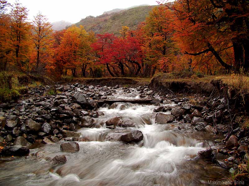 Patagonia andina en otoño