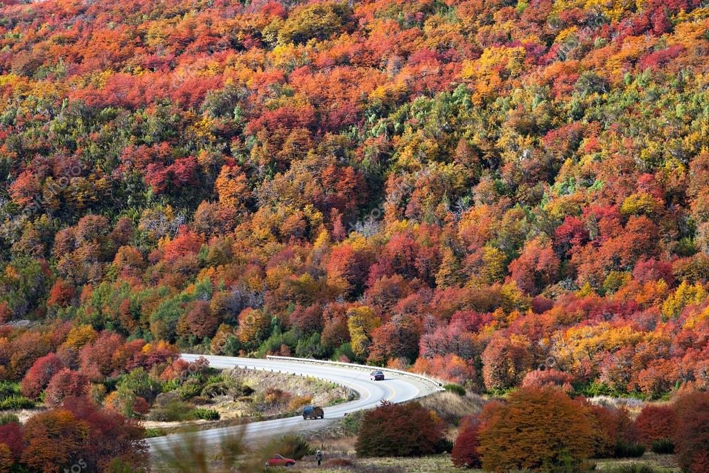 Patagonia andina en otoño