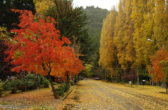 Patagonia andina en otoño