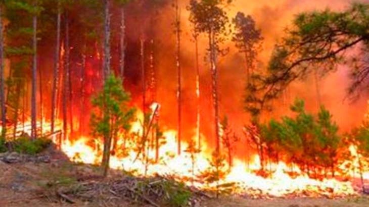 Sequías y olas de calor dificultan los incendios forestales