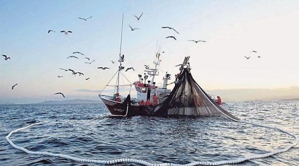 El saqueo anual de calamar de 105 barcos piratas ya se encuentran en Malvinas