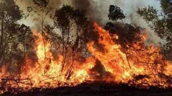 Alerta máxima en Corrientes: todavía hay 20 focos activos y los incendios no se detienen