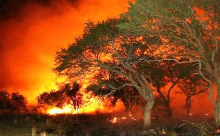  El fuego consumió más de 1.400.000 hectáreas aunque está controlado